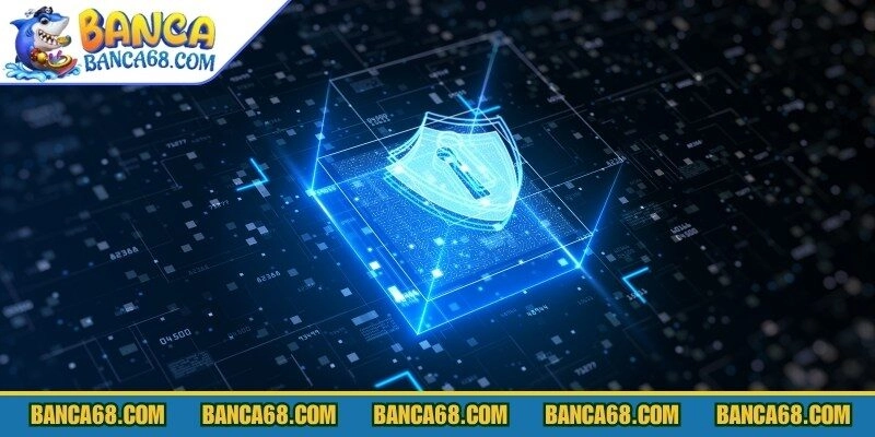 Chính sách bảo mật quy định rõ dữ liệu thu thập và cách lưu trữ an toàn