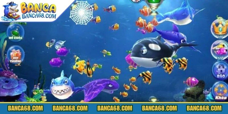 Thông tin về tool x2 xu bắn cá cơ bản